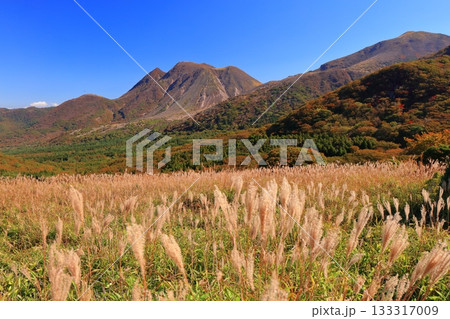 【大分県】牧ノ戸第一展望台から見た九重連山の紅葉 133317009