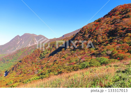 【大分県】牧ノ戸第一展望台から見た九重連山の紅葉 【大分県】牧ノ戸第一展望台から見た九重連山の紅葉 133317013