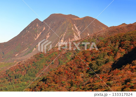 【大分県】牧ノ戸第一展望台から見た九重連山の紅葉 【大分県】牧ノ戸第一展望台から見た九重連山の紅葉 133317024