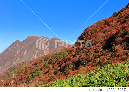 【大分県】牧ノ戸第一展望台から見た九重連山の紅葉 【大分県】牧ノ戸第一展望台から見た九重連山の紅葉 133317027