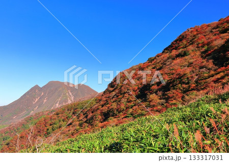 【大分県】牧ノ戸第一展望台から見た九重連山の紅葉 【大分県】牧ノ戸第一展望台から見た九重連山の紅葉 133317031