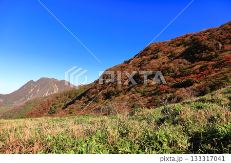【大分県】牧ノ戸第一展望台から見た九重連山の紅葉 【大分県】牧ノ戸第一展望台から見た九重連山の紅葉 133317041