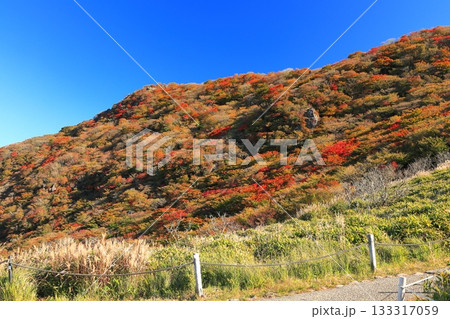 【大分県】牧ノ戸第一展望台から見た九重連山の紅葉 【大分県】牧ノ戸第一展望台から見た九重連山の紅葉 133317059