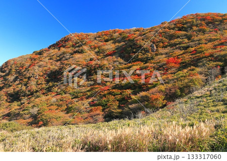 【大分県】牧ノ戸第一展望台から見た九重連山の紅葉 133317060