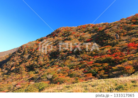 【大分県】牧ノ戸第一展望台から見た九重連山の紅葉 133317065