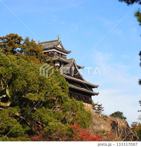 国宝 松江城 天守閣 133317087