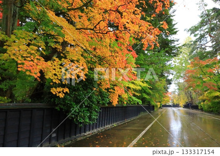秋の角館武家屋敷通り 紅葉風景 秋の角館武家屋敷通り 紅葉風景 133317154