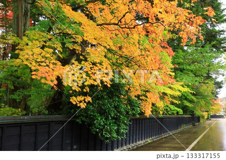 秋の角館武家屋敷通り　紅葉風景 133317155