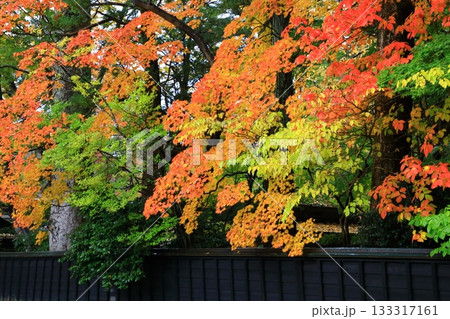 秋の角館武家屋敷通り　紅葉風景 133317161