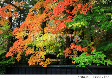 秋の角館武家屋敷通り　紅葉風景 133317162