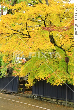 秋の角館武家屋敷通り　紅葉風景 133317239