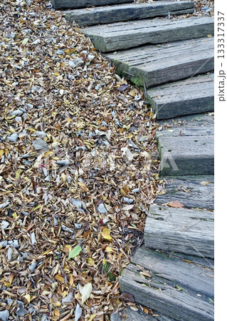 公園の古い木の階段と落葉の絨毯 133317337