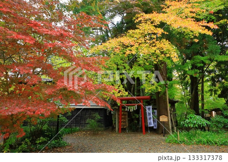 秋の角館武家屋敷通り　紅葉風景 133317378