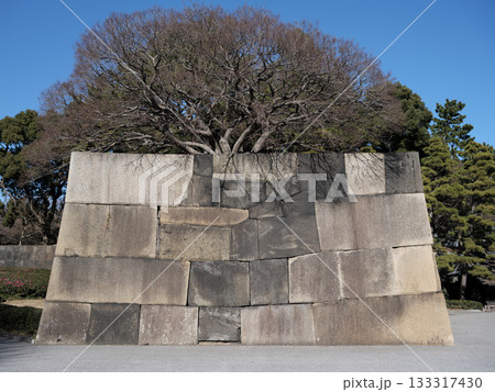 2025年に残る江戸城の石垣 133317430