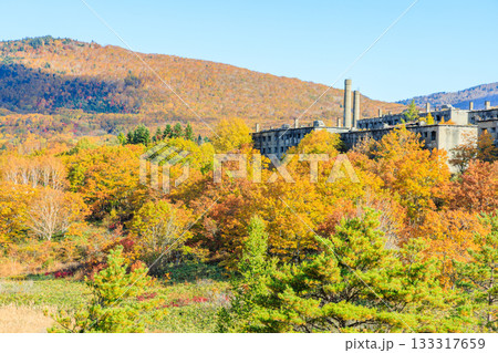 秋の旧松尾鉱山宿舎跡　岩手県八幡平市 133317659
