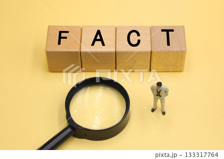 FACTと書かれたブロック FACTと書かれたブロック 133317764