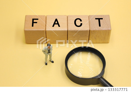 FACTと書かれたブロック 133317771