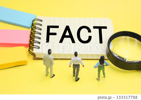 FACTの文字素材 FACTの文字素材 133317788