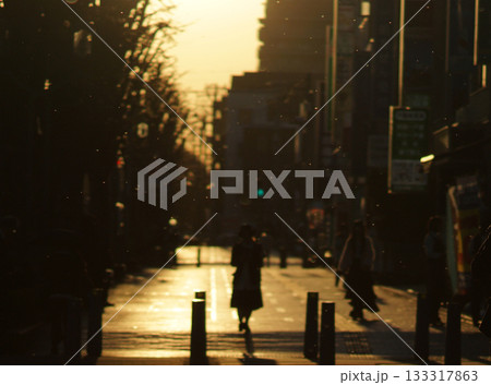 冬の雪虫（ゆきむし） 133317863