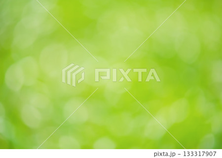 Abstract defocused background of blurred greenery. Defocus light natural. 133317907