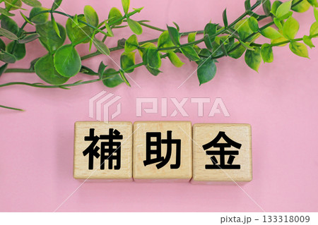 補助金と書かれたブロック 補助金と書かれたブロック 133318009