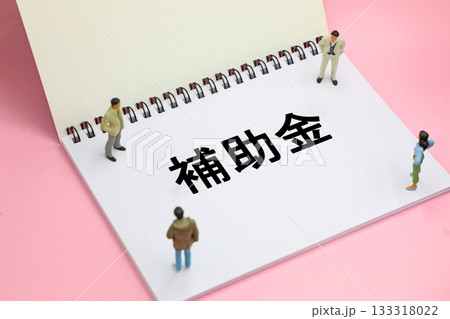 補助金の文字素材 133318022