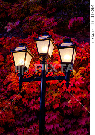闇夜を照らす 闇夜を照らす 133318064