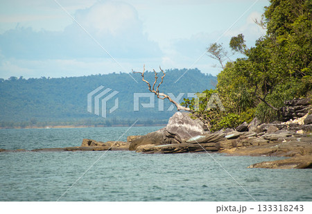 A rocky shoreline with a lone tree, overlooking a calm sea and distant mountains. Koh Sdach, Cambodia 133318243