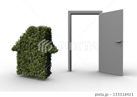 Home shape topiary and door 133318421