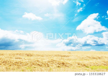 Wheat stubble field is stretching under flat design bright blue sky with scattered clouds Wheat stubble field is stretching under flat design bright blue sky with scattered clouds 133318627