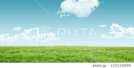 Blue sky over green field Blue sky over green field 133318699