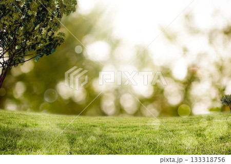 Flat design is featuring deciduous trunk with foliage over sunlit grassy meadow and treeline bokeh 133318756