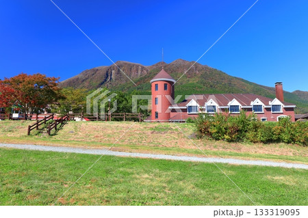 【大分県】快晴のガンジー牧場と九重連山 133319095