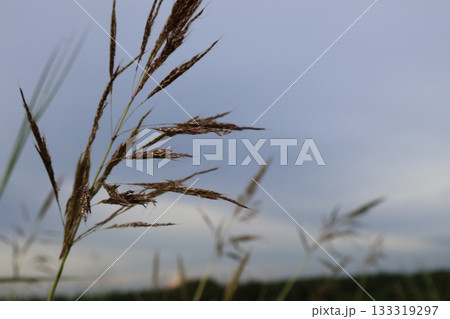 the road with a wind turbine the road with a wind turbine 133319297