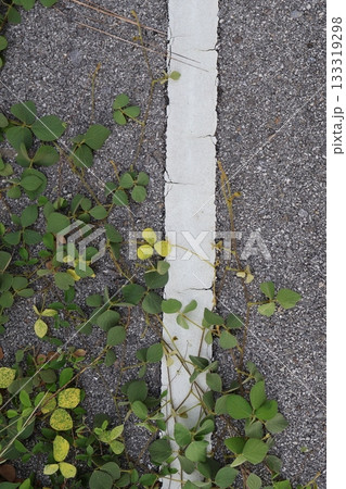 the road with a wind turbine the road with a wind turbine 133319298