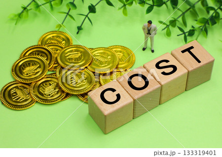 COSTのイメージ 133319401