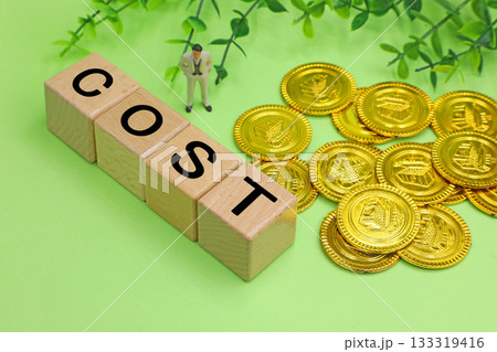 COSTのイメージ 133319416