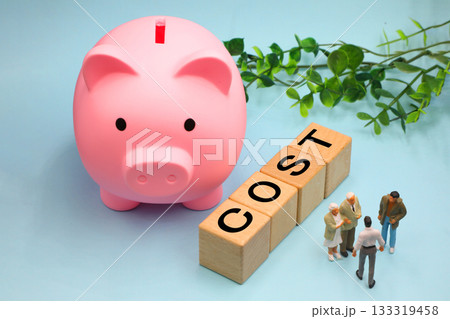 COSTのイメージ 133319458