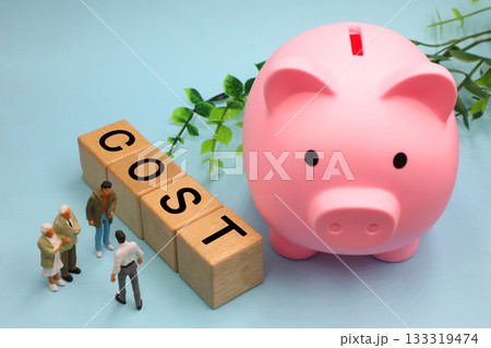 COSTのイメージ 133319474