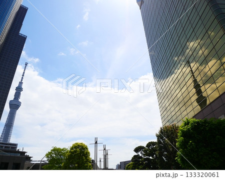 スカイツリーのある風景 133320061