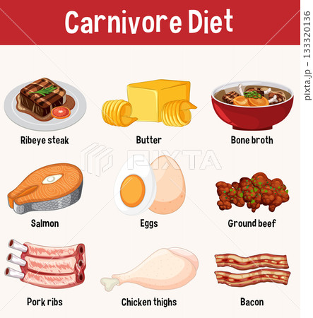 Carnivore Diet Food Illustration with Various Ingredients 133320136