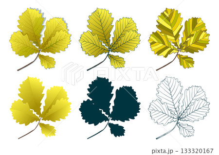 Set of hand-drawn gold green colored oak autumn leaves branch isolated on white background. Flat and line styles vector illustration. Set of hand-drawn gold green colored oak autumn leaves branch isolated on white background. Flat and line styles vector illustration. 133320167