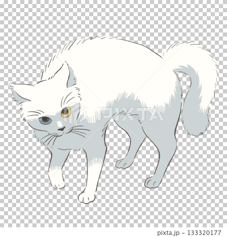 Illustration of a white cat doing Yannoka steps 133320177