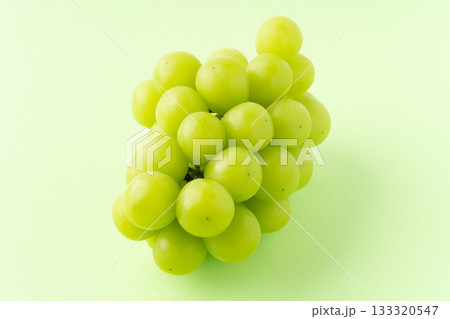 グリーン背景に1房のシャインマスカット 133320547
