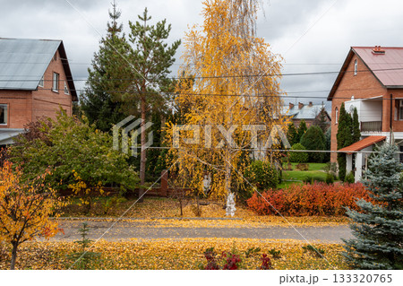 Autumn in the village Autumn in the village 133320765