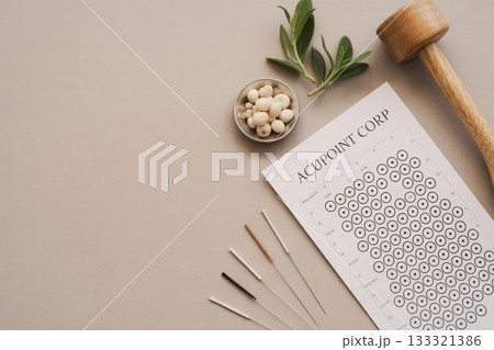 美容鍼とツボ図のフラットレイ／東洋医学のイメージ 133321386