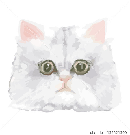 チンチラ – 世界の猫 顔アップイラスト – リアルタッチベクター 133321390