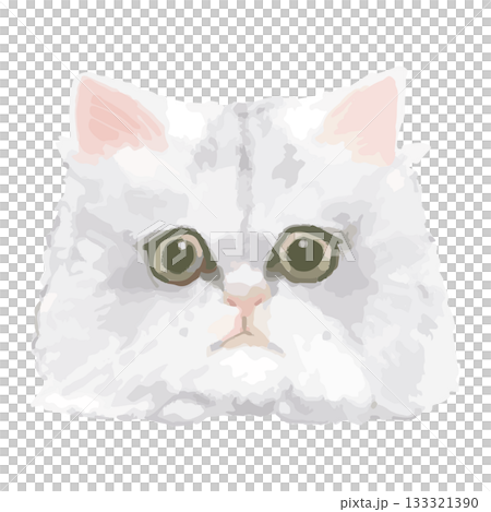 龍貓 – 來自世界各地的貓咪特寫插圖 – 真實觸感向量圖 133321390