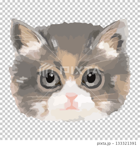 Kinkalow – Close-up illustrations of cats from around the world – Real Touch Vector 133321391