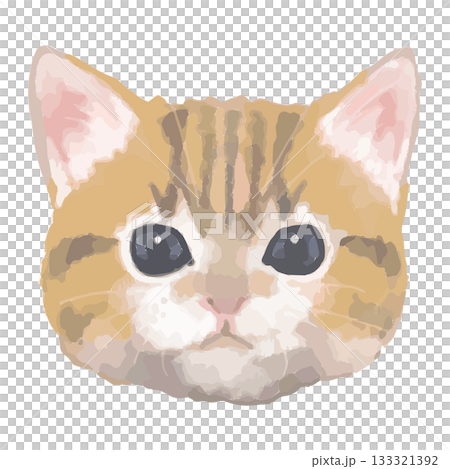 Munchkin – Close-up illustrations of cats from around the world – Real Touch Vector 133321392